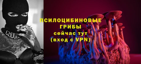 ПСИЛОЦИБИНОВЫЕ ГРИБЫ Кулебаки