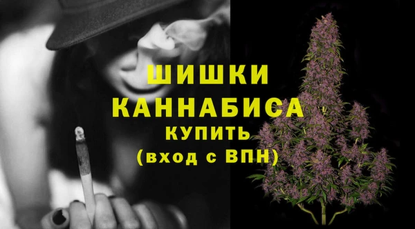 ПСИЛОЦИБИНОВЫЕ ГРИБЫ Кулебаки
