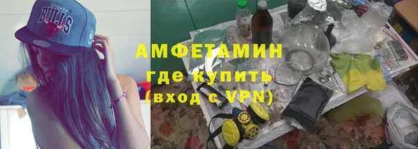 ПСИЛОЦИБИНОВЫЕ ГРИБЫ Кулебаки