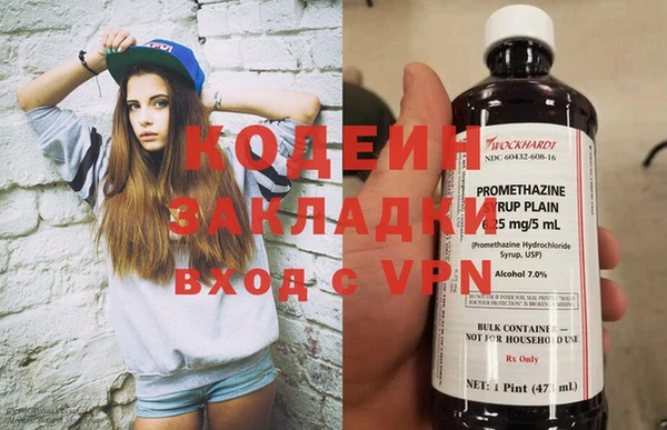 ПСИЛОЦИБИНОВЫЕ ГРИБЫ Кулебаки