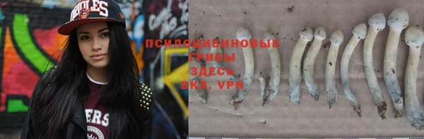 мдпв Кукмор