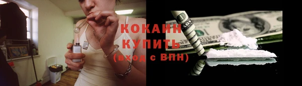 ПСИЛОЦИБИНОВЫЕ ГРИБЫ Кулебаки