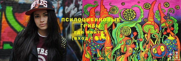 ПСИЛОЦИБИНОВЫЕ ГРИБЫ Кулебаки