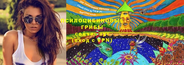 мдпв Кукмор