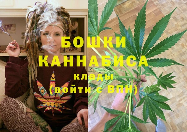 ПСИЛОЦИБИНОВЫЕ ГРИБЫ Кулебаки