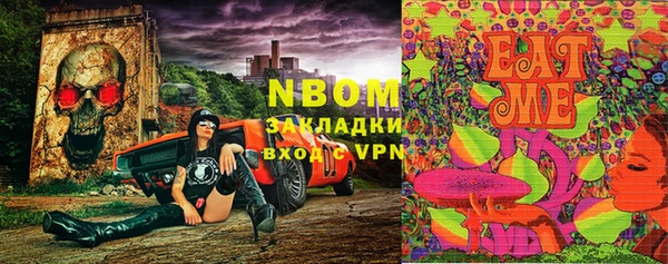 мдпв Кукмор